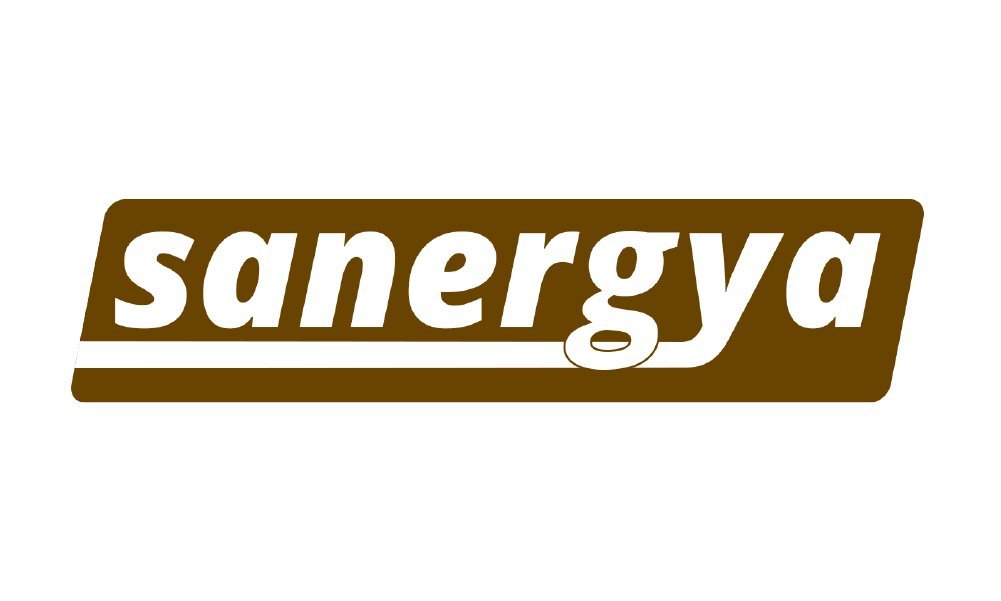 Logo - Sanergya