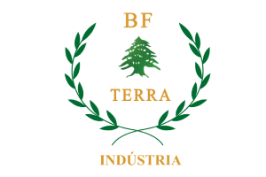 Logo - BF Terra